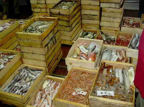 Scordatevi il pesce: perché non si trova e perché ora c'è il rischio salasso
