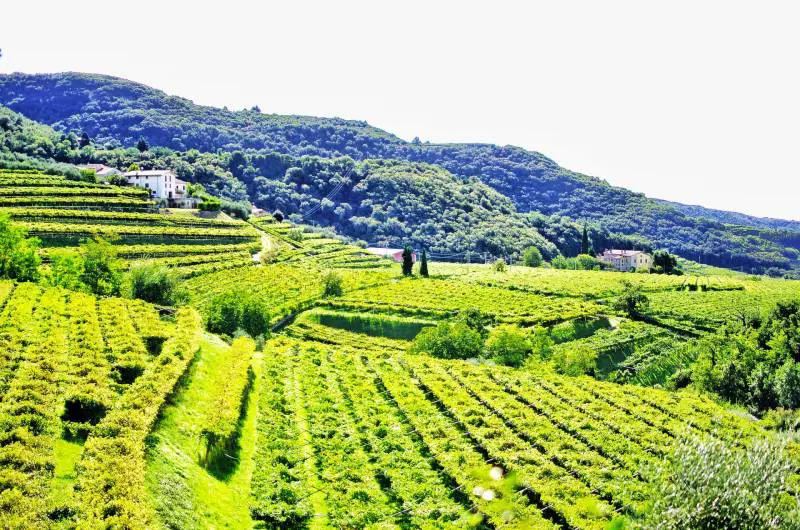 Verona, la città circondata da colline e vigneti