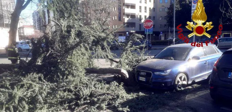 Raffiche a 110 km orari, il vento devasta Milano. Danni e disagi: 4 i feriti
