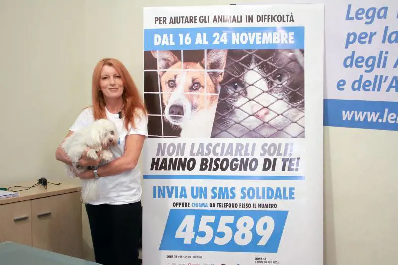 Svolta nella Costituzione: tutela ad ambiente e animali
