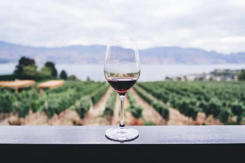 Vino italiano da record per ricavi ed export. Ora piace anche ai fondi