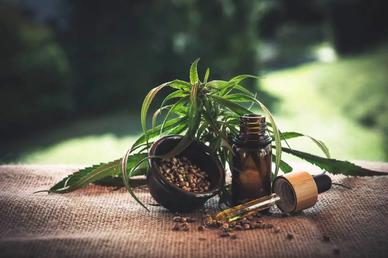 Berlino legalizza le canne. Per far cassa