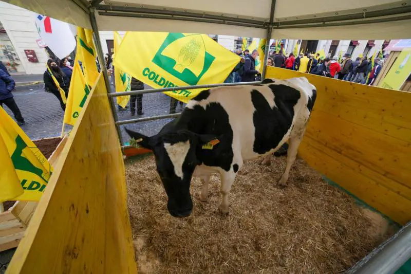 Agricoltori e allevatori contro il caro energia: "Costi insostenibili"