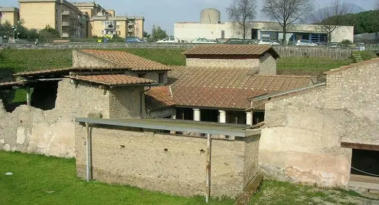 Scavi dei tombaroli, trovate medicine e siringhe