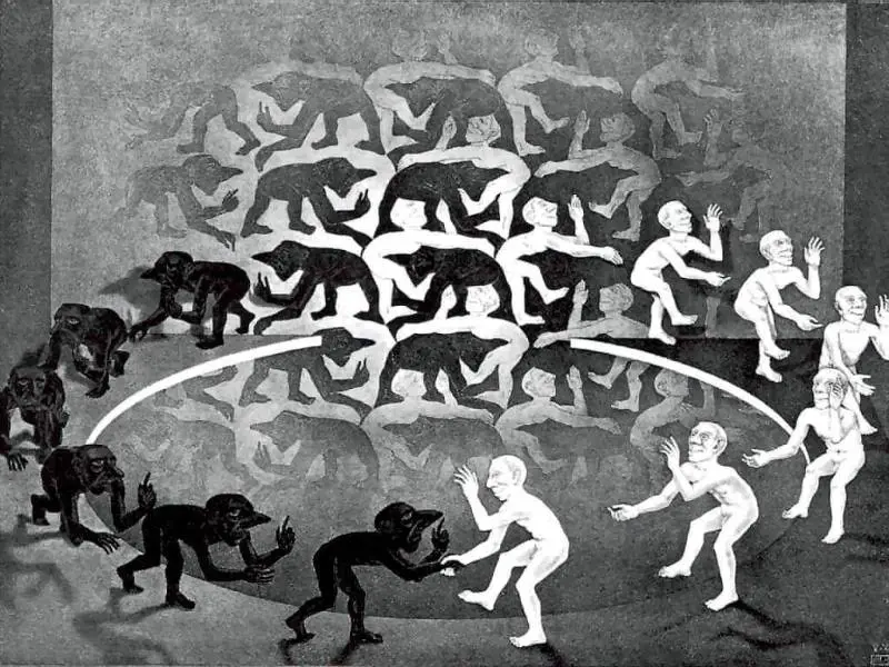 "Noi, umani fatti di storie misteriose come l'uomo di Flores"