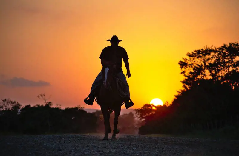Torna il lato nero del vecchio West. E cavalca in "Compton Cowboys"