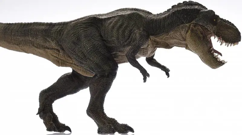 Abbiamo evitato i dinosauri, ma i batteri non riusciremo a scrollarceli di dosso
