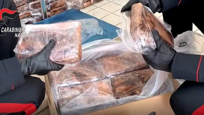 Droga: sequestrati 500 kg di cocaina purissima in un capannone nel Napoletano