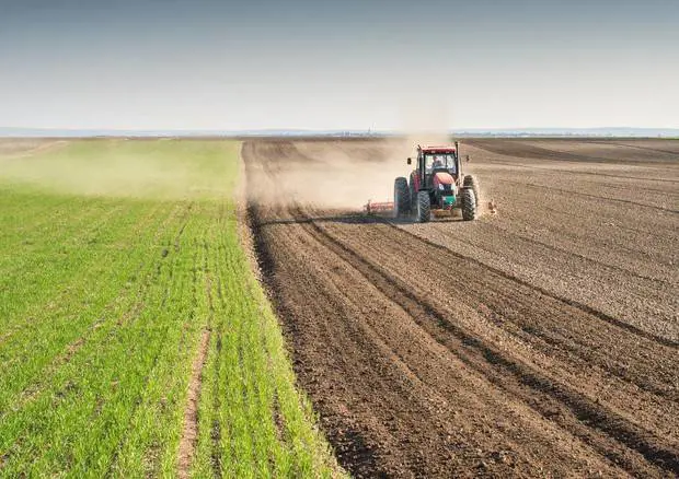 "Un'invasione di cibo spazzatura": la tempesta perfetta sull'Europa