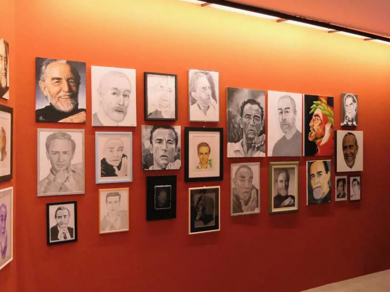 Tutto Vittorio Gassman l'uomo chiamato spettacolo (e cultura)