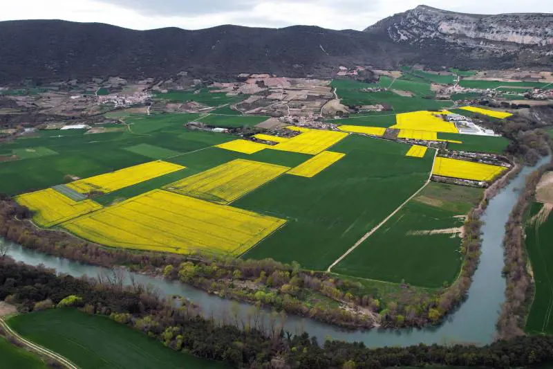 Record per l’agricoltura italiana: prima per valore aggiunto in Ue. Meloni: "La strada è quella giusta"