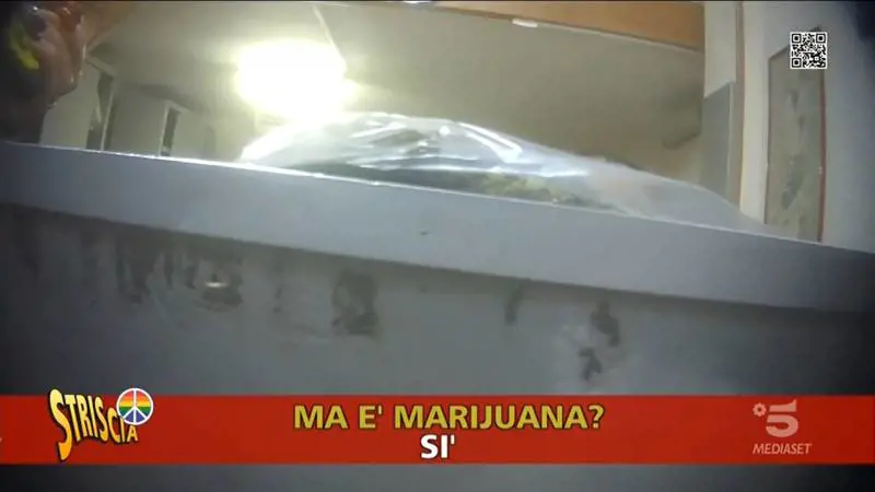 Droga e materiale esplosivo, spedizioni illecite scoperte da Striscia la Notizia