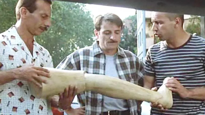 Tre uomini e una gamba: la verità sul titolo del film 