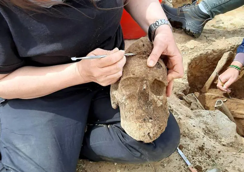 Trovati due nuovi giganti i pugili di Mont'e Prama "Orgoglio di Sardegna"