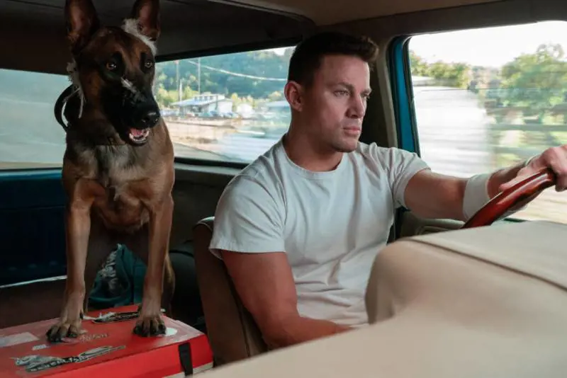 Channing Tatum: "Così abbiamo portato in scena i cani da guerra"