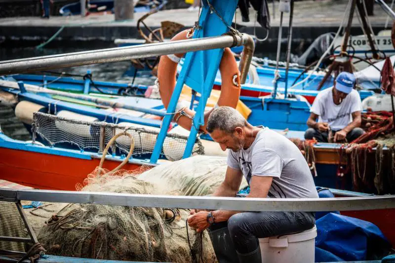 "Addio al pesce fresco". Occhio a cosa arriva sulla nostra tavola