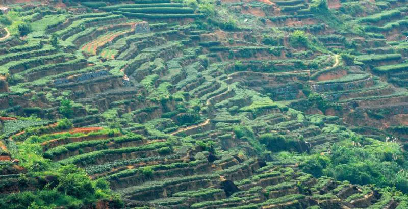 Cina, che cosa è successo a maggio: le date memorabili