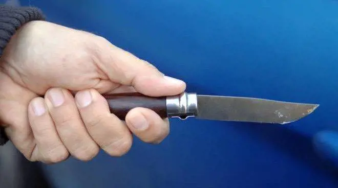 Milano: aggrediti e derubati due adolescenti su un treno regionale per dieci euro