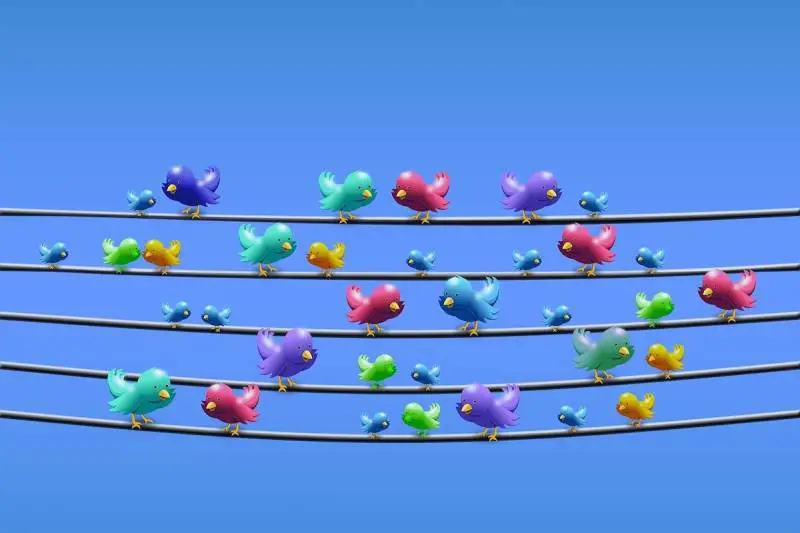 Twitter