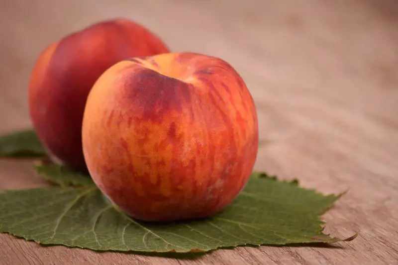 Pesche, proprietà e benefici del frutto protagonista dell'estate