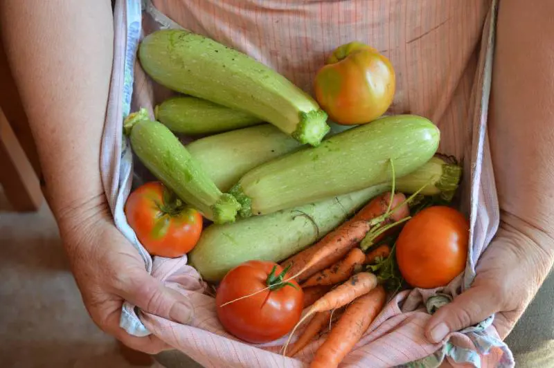 Zucchine, benefici e ricette per la salute dei Senior