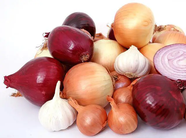 Cipolle, proprietà e benefici inaspettati