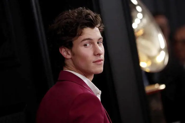 Shawn Mendes sospende il tour: "Sto male"