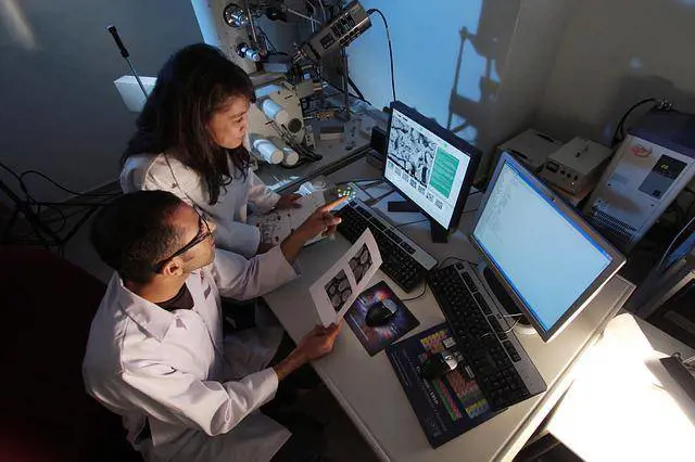 Traumi spinali, un farmaco sperimentale ripara i nervi