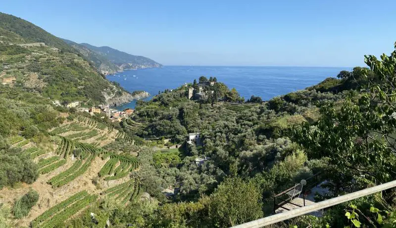 Il vino "sciacchetrà" vola in orbita per combattere le malattie neurovegetative 