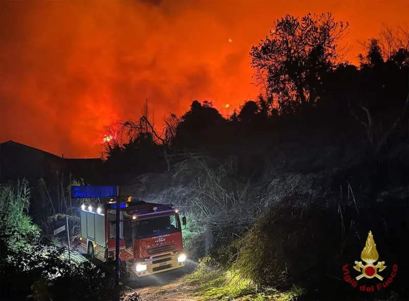 Incubo incendi: le fiamme devastano la Versilia e il Carso