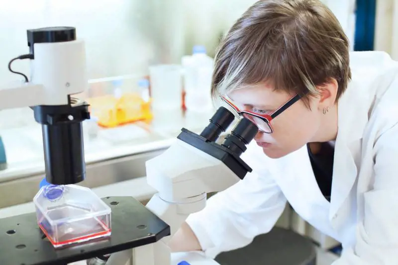 Batteri contro l'inquinamento biologico: la "rivoluzione" targata Gibabiospor