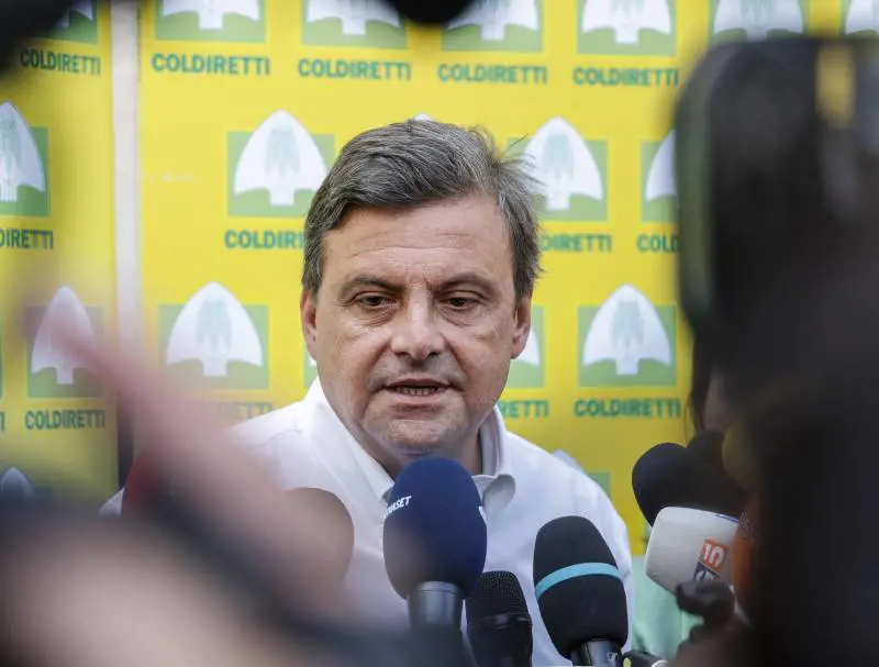 Lo squalo, il simbolo e la sigla: i tatuaggi "nascosti" di Calenda