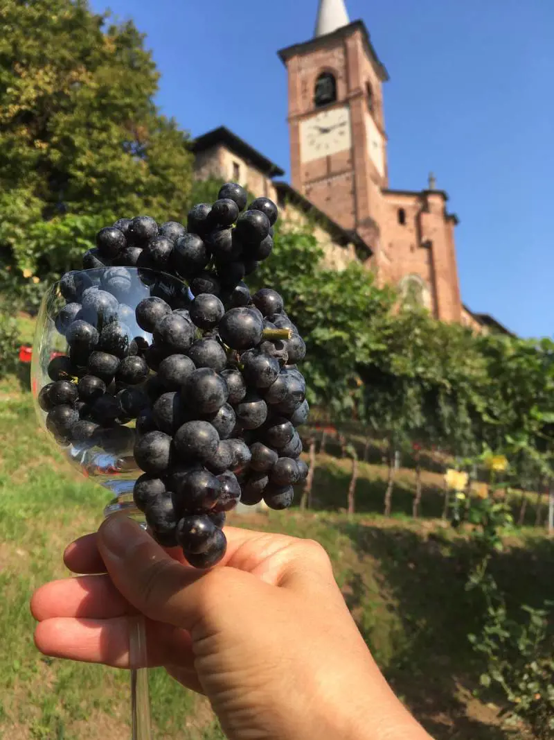 Vino e solidarietà a Castiglione Olona per i 600 anni dalla fondazione della Collegiata