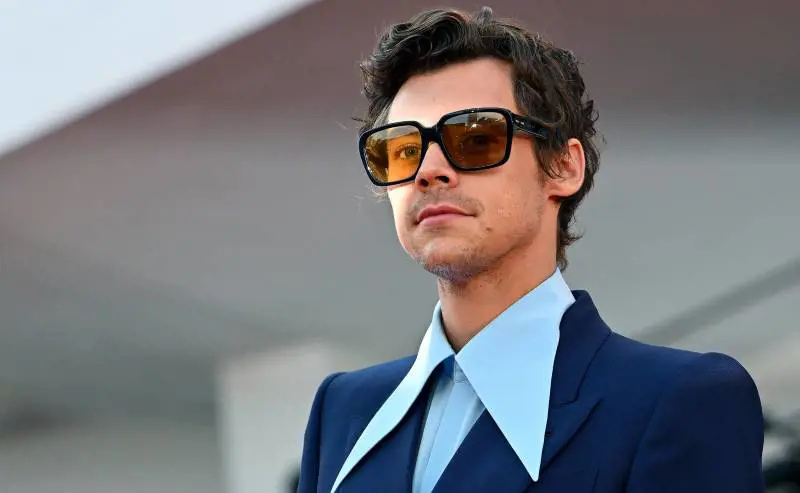 Il potere e il deserto. Il divo Harry Styles in un mondo perfetto e inquietante