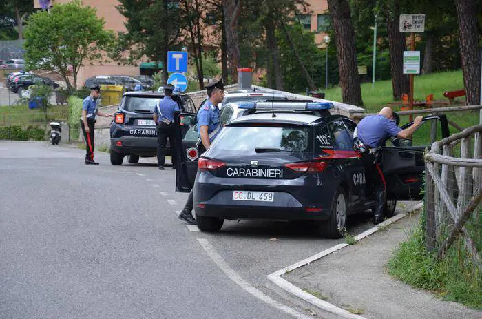 Alcune volanti dei carabinieri (foto di repertorio)