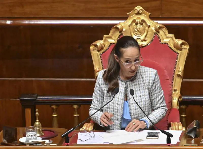 "Merito nostro", "Hanno illuso le imprese": bagarre in Aula tra M5s e Lega