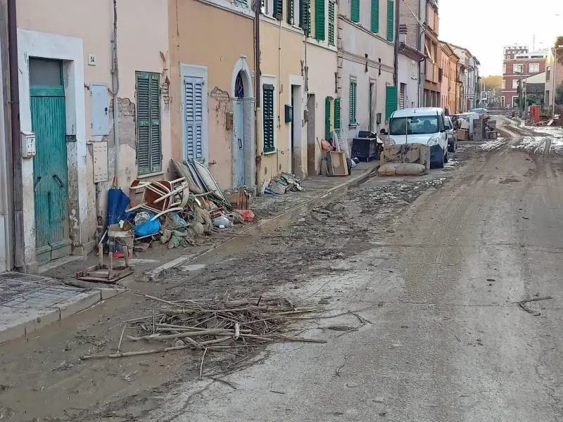 Trovato lo zainetto di Mattia: "Una stilettata". Doppia indagine su allerta e sicurezza del Misa