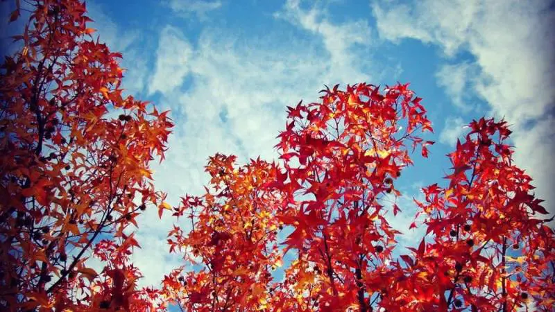 L'equinozio d'autunno non è oggi: ecco perché