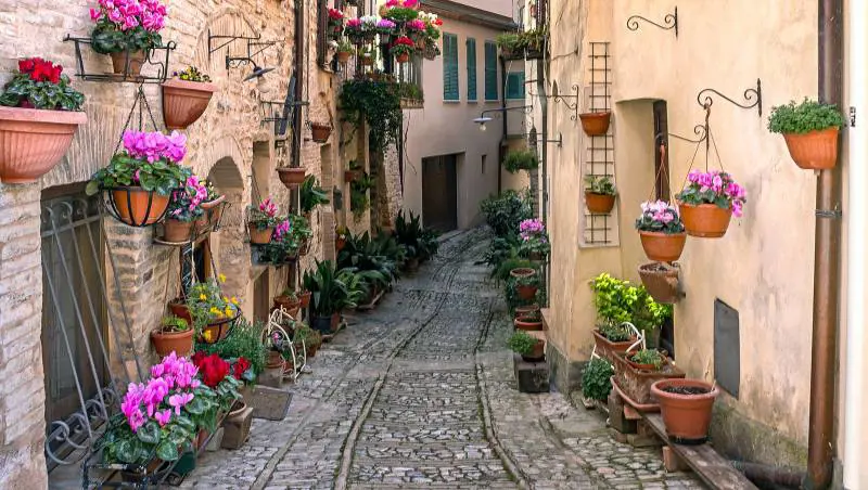 L'Infiorata di Spello tra fede e arte: un borgo ricco di storia