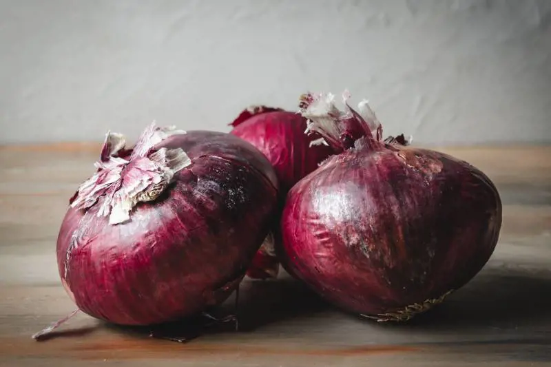 Cipolle rosse di Tropea, ricette e curiosità