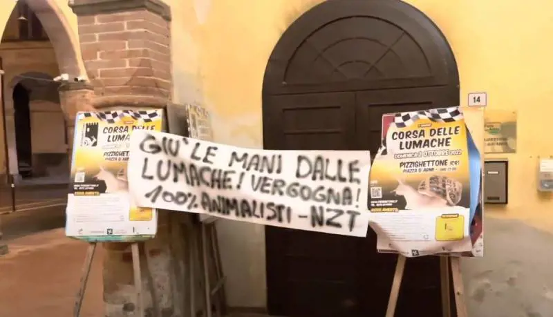 Blitz contro la corsa delle lumache: gli animalisti denunciano maltrattamenti