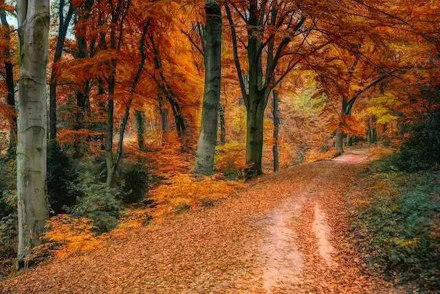 Natura: tra guide reali, intelligenza emotiva,  app virtuali e tecnologia.  L'esempio virtuoso di inaturalist 