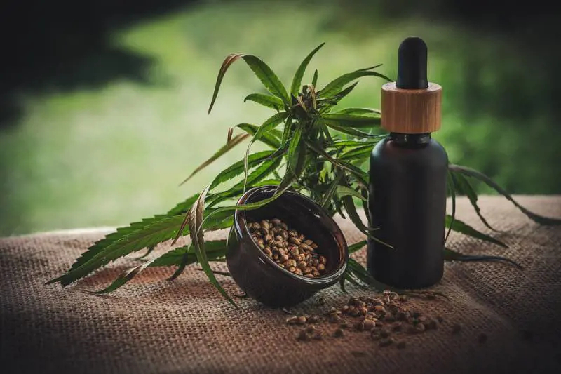 Olio di canapa, tutti i benefici