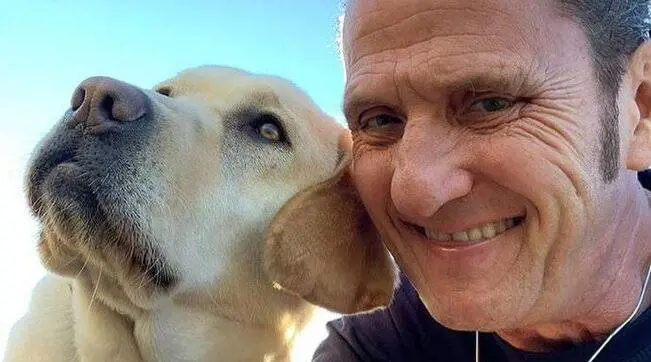 "Hanno avvelenato il mio cane": il dramma di Enzo Salvi