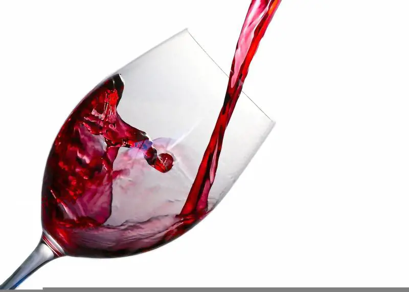 Vini delle Marche. Alla scoperta di 5 etichette