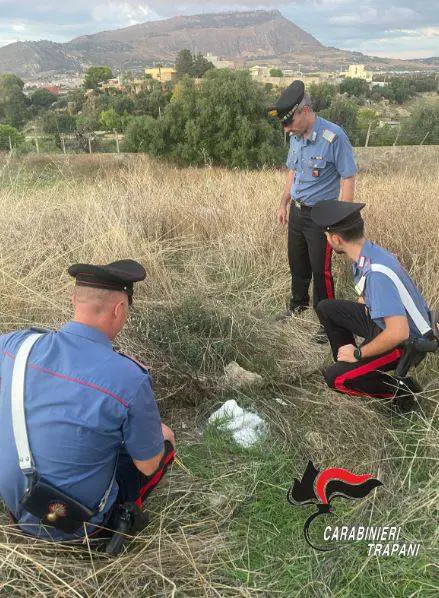 Gettato in un sacchetto tra i campi. L'orrore sul neonato: vivo per miracolo
