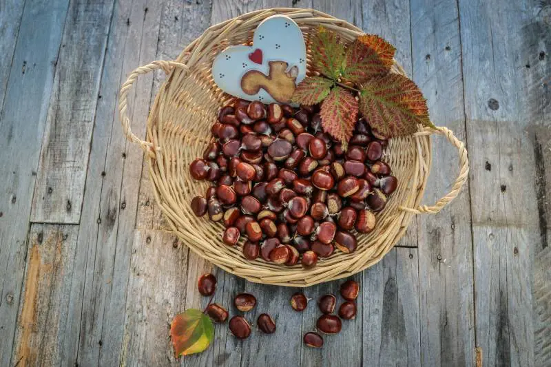 Castagne: 6 ricette per gli over 60