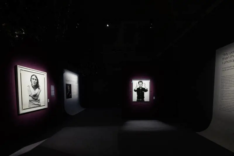 Immagine gallery