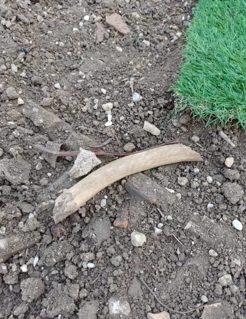 "Mi vogliono riesumare, ma sono vivo". E al cimitero spuntano strane ossa