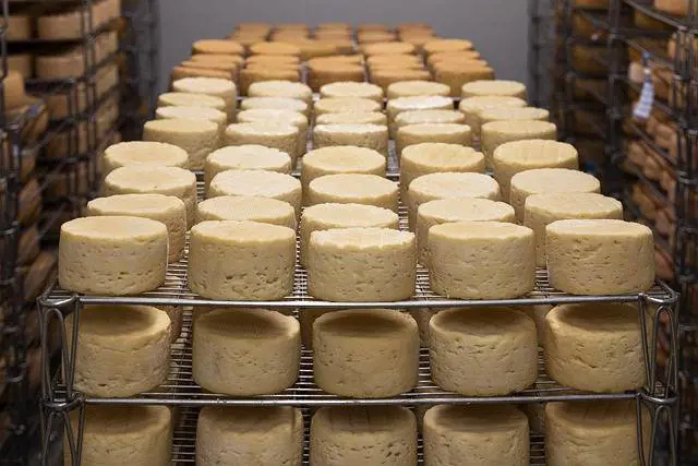 Micotossine nei formaggi grattugiati, ecco cosa accade adesso